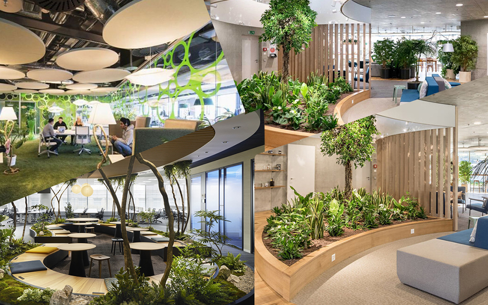 Biophilic Design